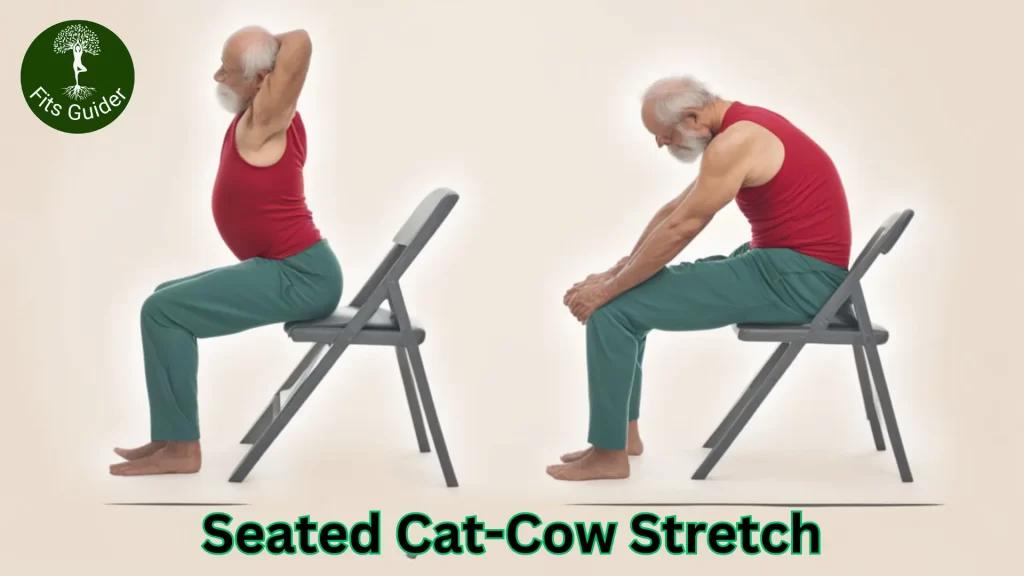 old man performing Seated Cat-Cow Stretch